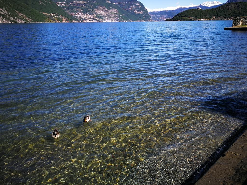 Camping Pilzone Iseo Eksteriør billede